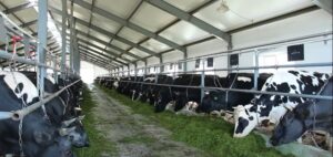 गाँव में शुरू करें 11 लाभदायक कृषि व्यवसाय (2024) | Most Profitable Farming Business Ideas