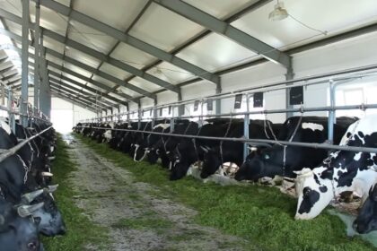 गाँव में शुरू करें 11 लाभदायक कृषि व्यवसाय (2024) | Most Profitable Farming Business Ideas