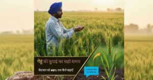 गेहूं की बुवाई का सही समय