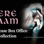 Tere Naam Re-Release Box Office Collection Day 7